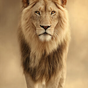 Majestic Lion Wall Art for Home & Office Decor | Art No. 766